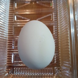 ไข่เค็ม