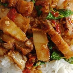 ผัดกระเพราหมูกรอบราดข้าว