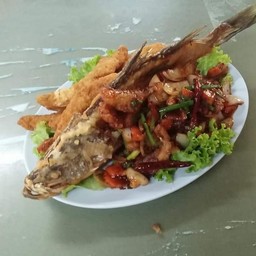 ปลากะพงจักรพรรดิ์