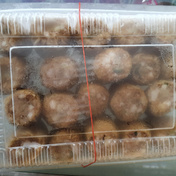 หอยจ้อสด