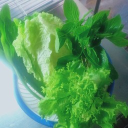 เพิ่มผักชุดละ25