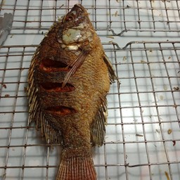 ปลานิลทอด