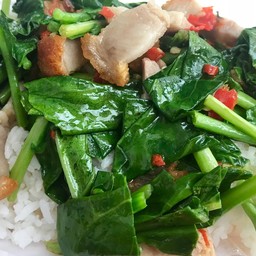 ผัดคะน้าราดข้าว
