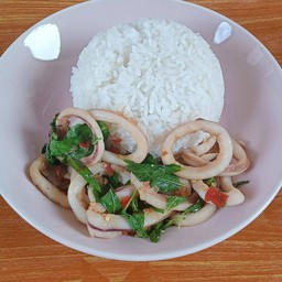 กะเพราปลาหมึก(ราดข้าว)