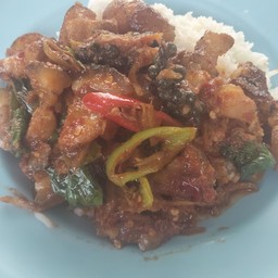 ผัดเผ็ดหมูป่าราดข้าว