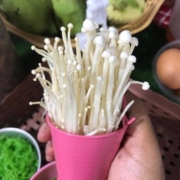 เห็ดเข็มทอง