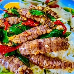 ร้านบ้านหนุนพานทอง สาขา1
