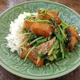ข้าวราดปลากะพงผัดใบขึ้นไฉ่