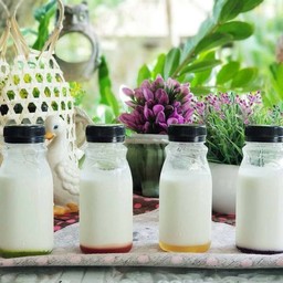 โยเกิร์ตโฮมเมด ผลไม้ตระกูลเบอรี่