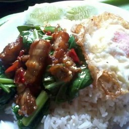 ข้าวกระเพรารวมมิตร