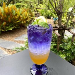 อัญชันน้ำผึ้งมะนาวโซดา Butterfly Honey Lemon Soda