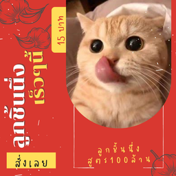 ลูกชิ้นนึ่งอร่อยๆ สูตร100ล้าน