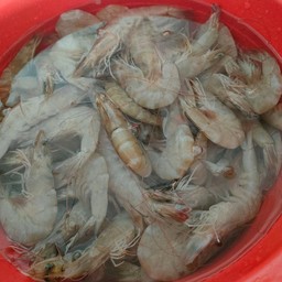 ฮาลาล Food box เมืองทองธานี มีสาขาเดียว