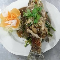 ปลากะพงเจี๋ยนน้ำแดง