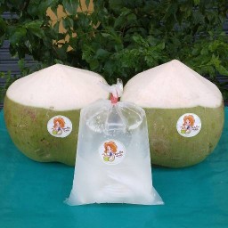 เก๋ มะพร้าวน้ำหอมบ้านแพ้วแท้ 100% ไม่ผสม