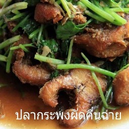 ปลากระพงผัดคื่นฉ่าย (ทั้งตัว)