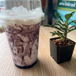 บลูเบอรี่นมสด