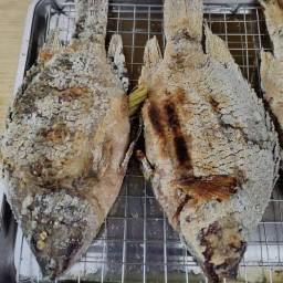 ปลาเผา หน้าซอย