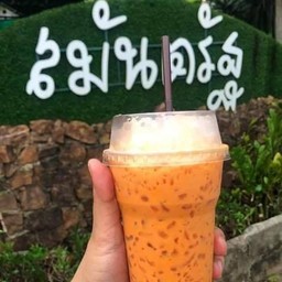 ชาชักเย็น