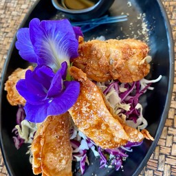 เกี้ยวซ่าไก่