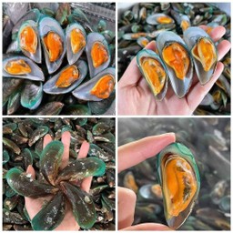 หอยแมลงภู่ลวกจิ้ม