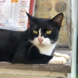 น้องจุ้นจ้าน