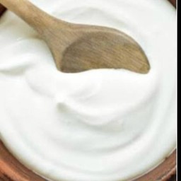 PLAIN YOGURT