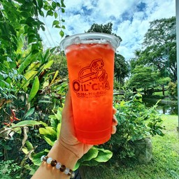 ชาสตอเบอร์รี่