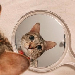 เกี๊ยวต้ม เจ๊ยุ้ย