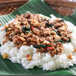 กระเพราหมูสับ