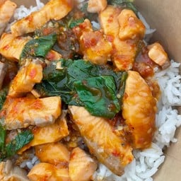 กะเพรา Salmon