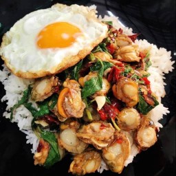อาหารตามสั่ง ฮาลาล นมหมีปั่น ยำ ปูไข่ดอง Yummi House by nadia คู้ซ้าย ประชาร่วมใจ ประชาร่วมใจ