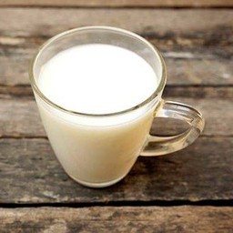 HOT FRESH MILK