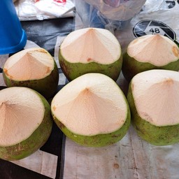 น้ำมะพร้าวสดหน้าวัดศาลาเย็น