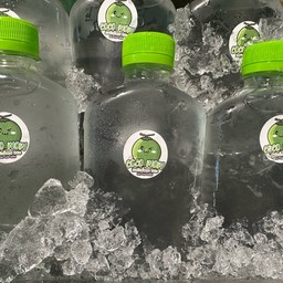 น้ำมะพร้าว100%  บรรจุขวด 250 ml  [10 ขวด ฟรี 1 ขวด]