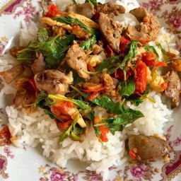 ผัดกระเพราเครื่องในไก่ใส่ถั่วราดข้าวไข่ดาวฟรีจ้า