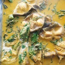 แกงปลาดุกใบยี่หร่า