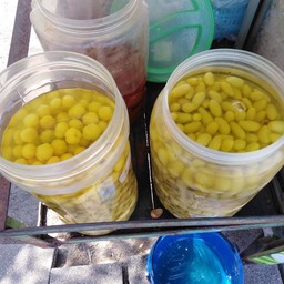 องุ่นดอง