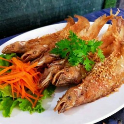 ปลาเนื้ออ่อนทอดกระเทียม