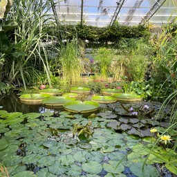 Oxford Botanic Garden