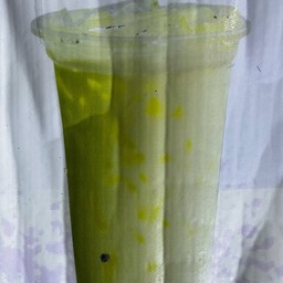 นมสดน้ำผึ้ง