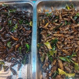 จิ้งหรีดทอดกับแมงกระชอน(2อย่างรวม)