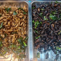 แมงสะดิ้งทอดกับจิ้งหรีด(2อย่างรวม)