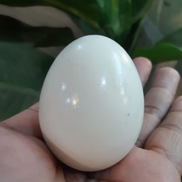 ไข่เค็ม