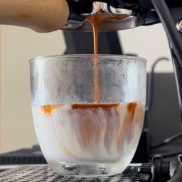 LM Specialty Coffee