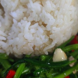 ผักบุ้งไฟแดง ( ไม่มีเนื้อสัตว์ )