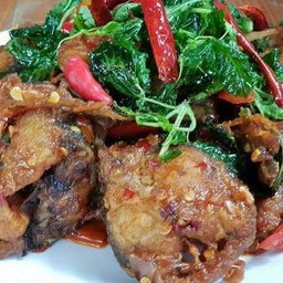 กะเพราปลาดุก