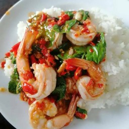 กะเพรากุ้ง