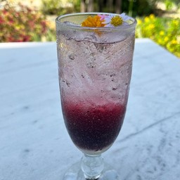 BLUEBERRY LEMONADE