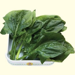 ปวยเล้ง